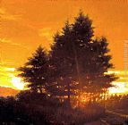 Jacob Collins Sunset Tree painting